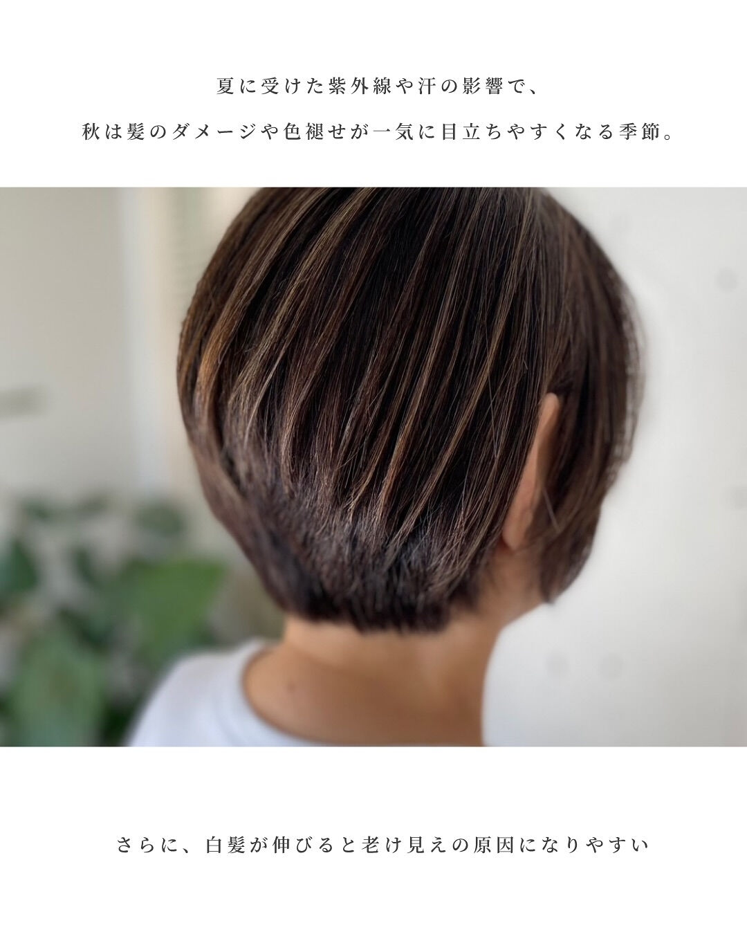 夏の紫外線や汗で疲れた髪、秋になってパサつきや色褪せ、白髪が
